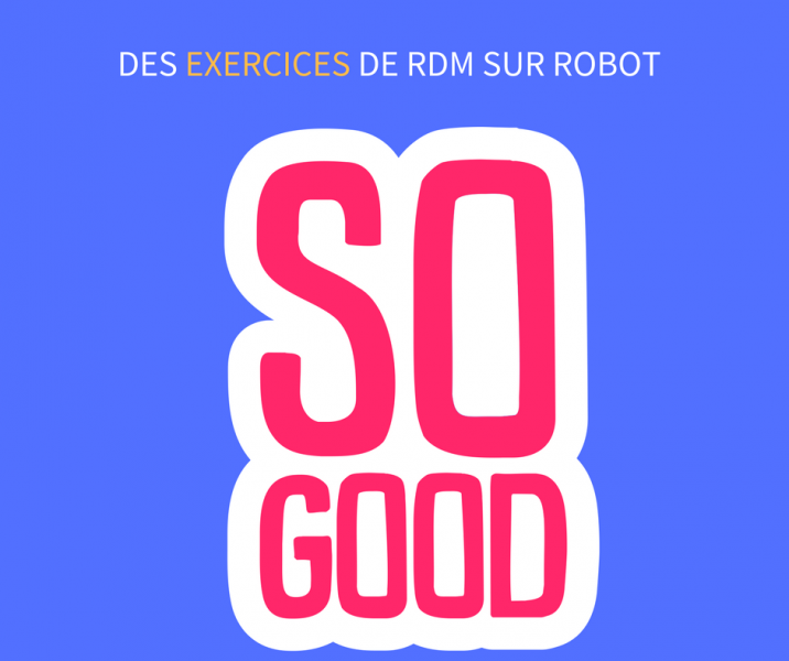 exercices de rdm sur robot.png