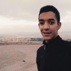 Hamza Ammari
