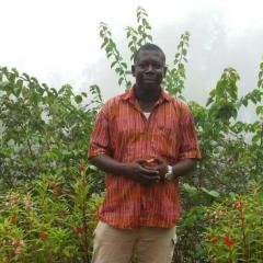 Joel Bonkoungou